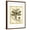 Brown Frame, variant on Art.com Regal Dragonfly I Art Print by Vision Studio, Black Frame Wall Art, 23" x 29"