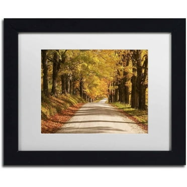 Trademark Fine Art 'Maple Canopy' Canvas Art by Michael Blanchette Photography, White Matte, Black Frame
