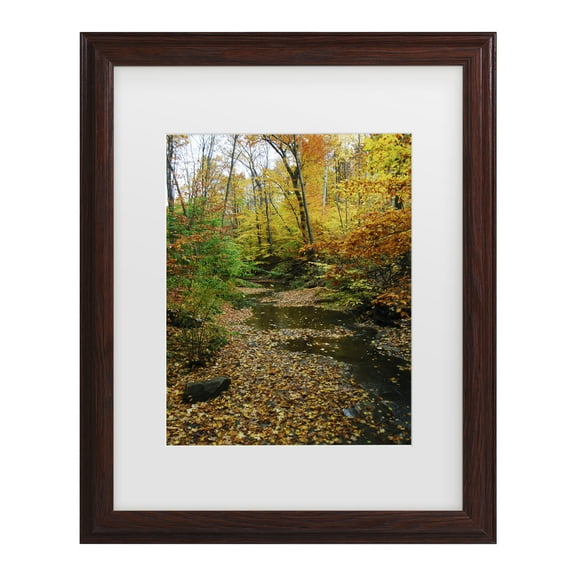 Trademark Fine Art 'Autumn Stream' Canvas Art by Kurt Shaffer
