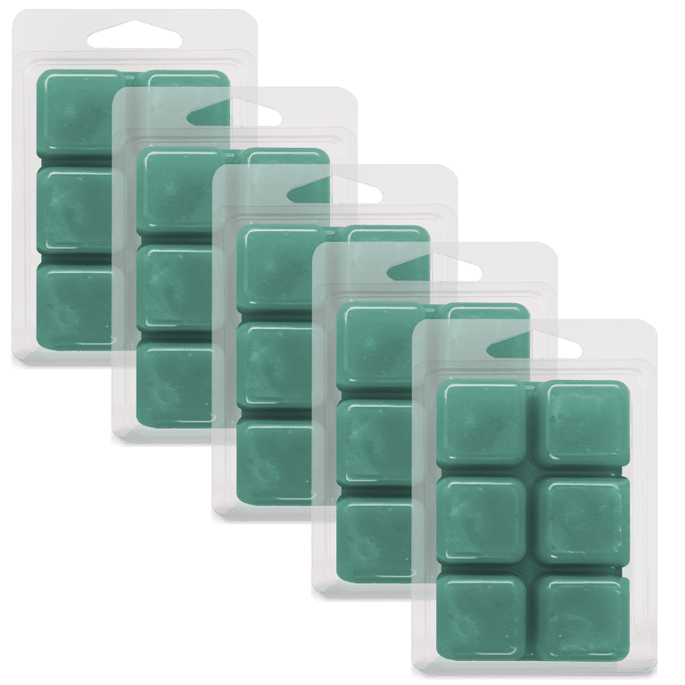 Snow Globe Wonderland Wax Melts 6-Packs - Wax Melts 6-Packs