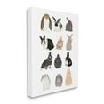 thumbnail image 4 of Stupell Industries Varied Hipster Bunnies Animals & Insects Painting Gallery Wrapped Canvas Art Print Wall Art, 16 x 20, 4 of 8