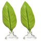 thumbnail image 5 of Greeniant 1 hamaca de cama de descanso de peces artificiales de simulación impermeable de una sola capa Betta ventosa juego de peces Relax hamaca de hojas decoración del acuario Greeniant  JJ22181-00, 5 of 6