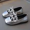 thumbnail image 2 of Staki Mary Jane Shoes for Girls Girls Mary Jane Dress Shoes Platform Loafers School Uniform Chunky Heel Closed Toe Flats(Silver,9.5 Toddler), 2 of 9