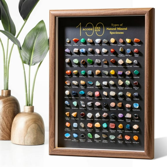 Natural Mineral Specimen Shadow Box, Geology Collection Display Case, Home Decor Wall Art Tabletop Display with Real Rocks Crystals, Gift for Birthday Christmas Housewarming Children's Day