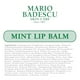 thumbnail image 2 of Bálsamo Labial Mario Badescu Menta y Rosa Ultra Nutritivo, 3 Unidades, 2 of 10