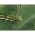 thumbnail image 3 of Ambesonne Rainforest Quilted Coverlet 3 Pcs, Butterfly, Queen Size, Green, 3 of 4