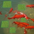 thumbnail image 4 of Unique Bargains Fish Feeding Ring, Floating Plant Corral Fish Tank Plant Corral Set for Aquarium Accessories 5pcs Green, 4 of 6