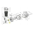 thumbnail image 4 of Replacement for Hayward SPX1500W Strainer Connector O-Ring/Perflex 1990/PowerFlo/PowerFlo II/PowerFlo LX/Ultra Pro/Turbo-Flo/XStream Filtration System, 4 of 8