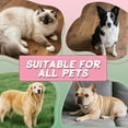thumbnail image 6 of GASTROPOD Dog Sweater,Cute Knitwear Cat Sweater,Fresh Contrast Small Dog Clothes,Yellow, 6 of 7