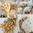 thumbnail image 5 of AHIX Natural Dried Pampas Grass Decor 85 Pcs Boho Farmhouse Decor 17'' Assembled Tall Multicolor, 5 of 14