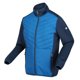 thumbnail image 3 of Regatta - Chaqueta Acolchada Clumber Hybrid III para Hombre (Azul Snorkel, Ola Azul), 3 of 4