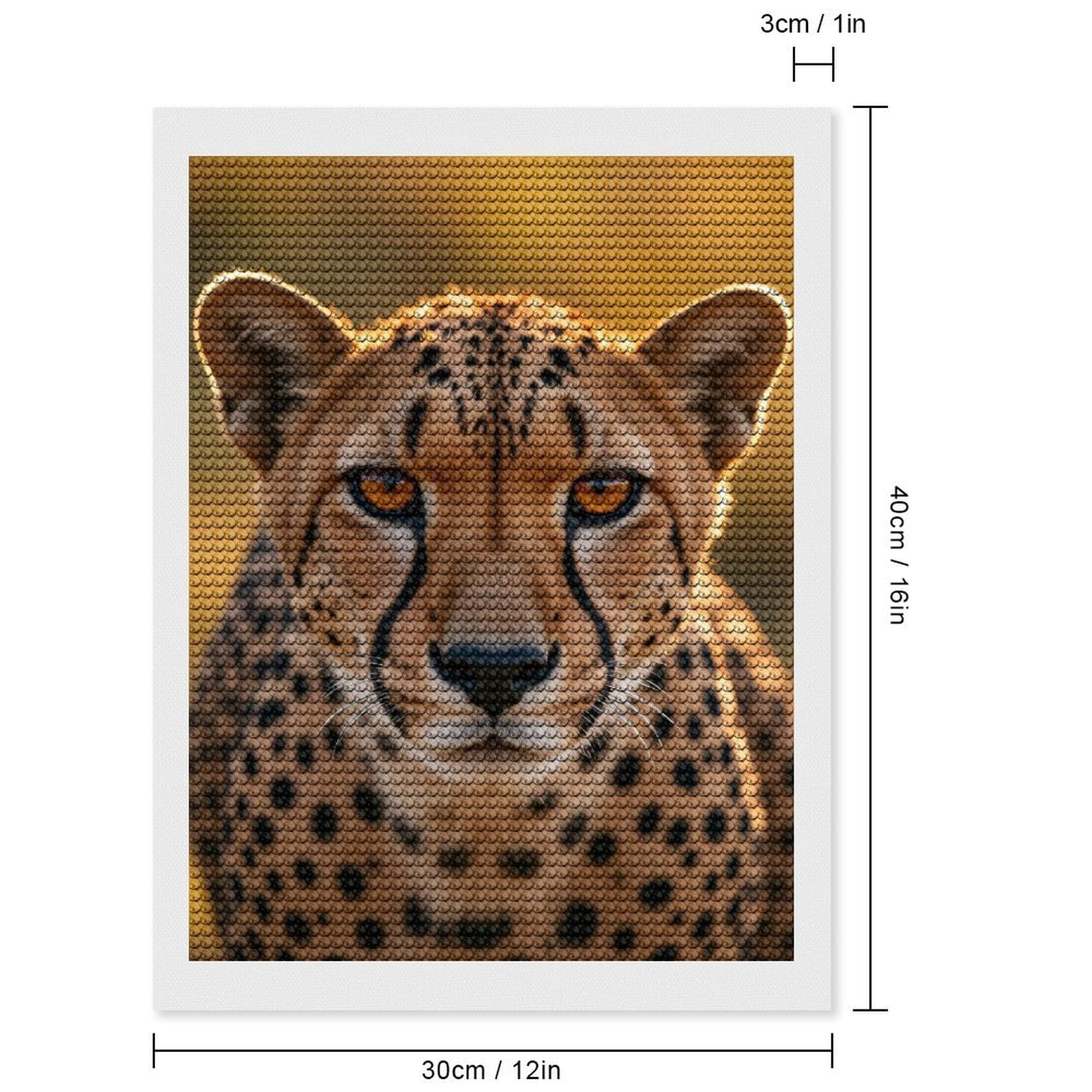 Diamond Art Kits for Adults, Cheetah Face Closeup Amber Eyes 5D Diamond Painting Kits for Adults Beginners, DIY Full Drill Diamond Painting, Gem Art and Crafts 12x16