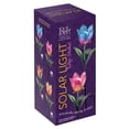 thumbnail image 3 of Regal Art  and  Gift 10558 - 23.75" x 5.25" Tulip Garden Stake Blue / Pink Solar LED Light, 3 of 3