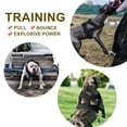thumbnail image 3 of Dog Weight Pull Harness Padded Dog Harness Large Large Dog Training Harness, 3 of 10