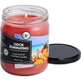 thumbnail image 3 of UYGDUY-Tropical Fruit Odor Eliminating Highly Fragranced Candle - Eliminates 95% of Pet, Smoke, Food, and Other Smells Quickly - Up to 80 Hour Burn time - 12 Ounce Premium Soy Blend, 3 of 3