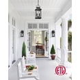 thumbnail image 3 of VIANIS 2-Light Outdoor Pendant Lights For Porch, Black Exterior Hanging Lanterns Chandelier For Gazebo, Anti-Rust Waterproof Outdoor Ceiling Lights Fixtures for House Patio with Adjustable Chain, 3 of 7