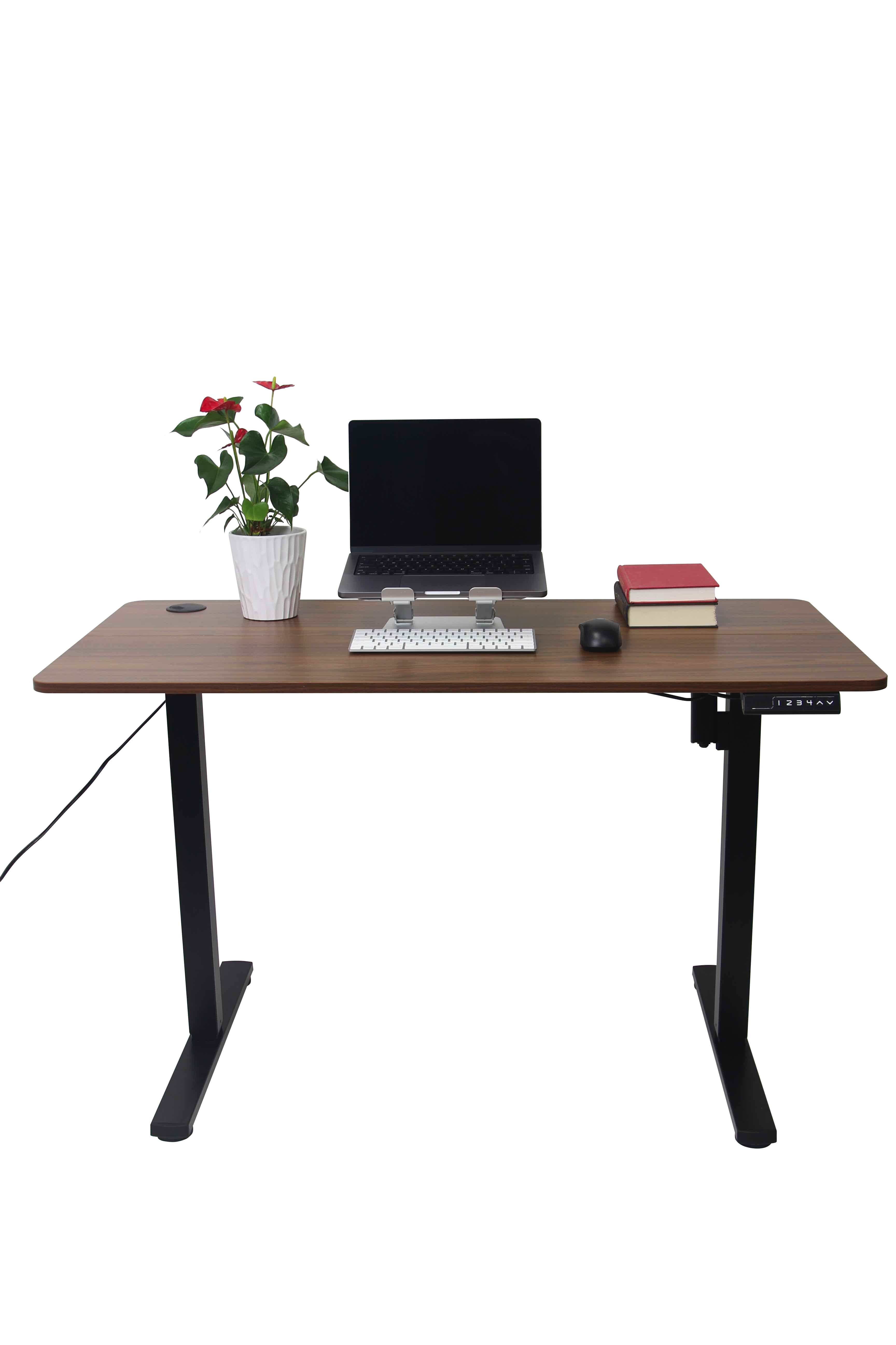 Home Office Electric Height Adjustable Standing Desk