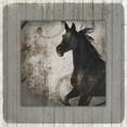 thumbnail image 2 of LightBoxJournal 20x20 Gold Ornate Wood Framed with Double Matting Museum Art Print Titled - GypsyHorse Collection V1 9, 2 of 4