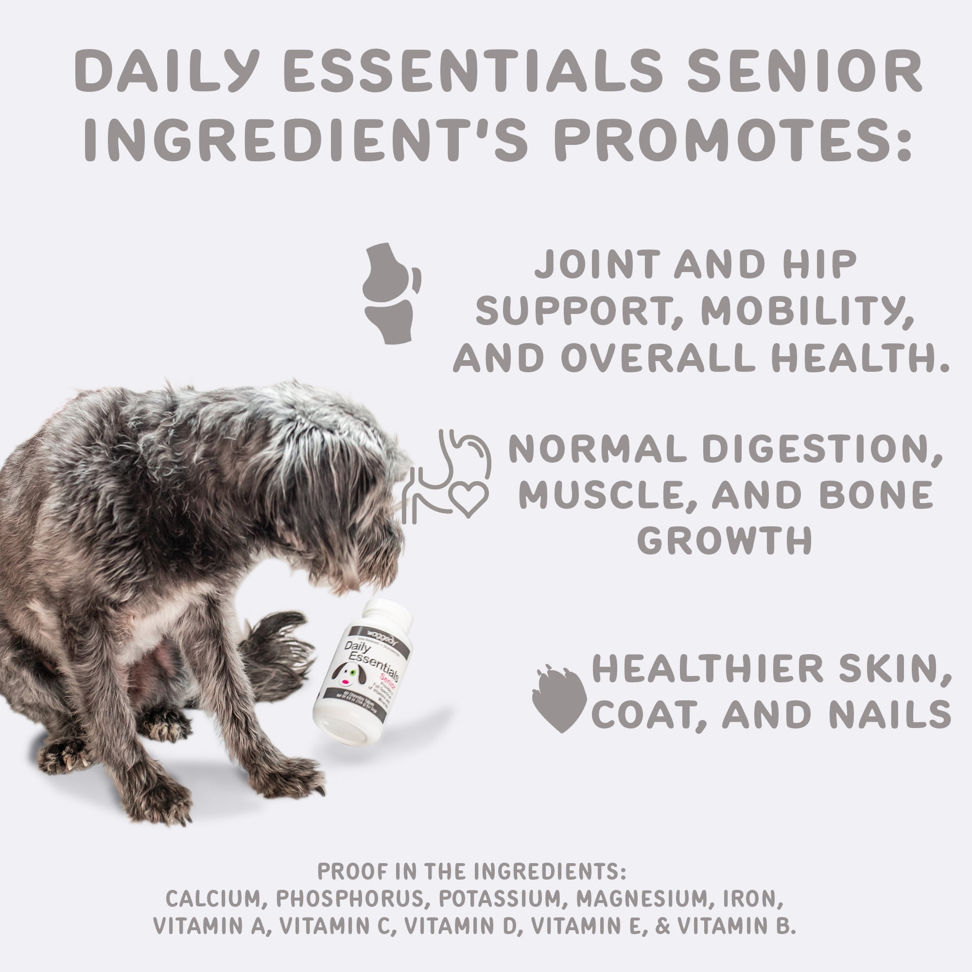 Buy Waggedy Senior Dog Vitamins & Immune System Booster, Chewable Dog Vitamins (60 Tablets