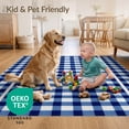 thumbnail image 4 of ODIKA 8'x10' Ultra-Soft Area Rug, Layering Striped Gingham Grid Banded Farmhouse Rectangular Front None Washable, Bare feet friendly, Silk-Touch for Bedroom, Under Sectional, 4 of 7