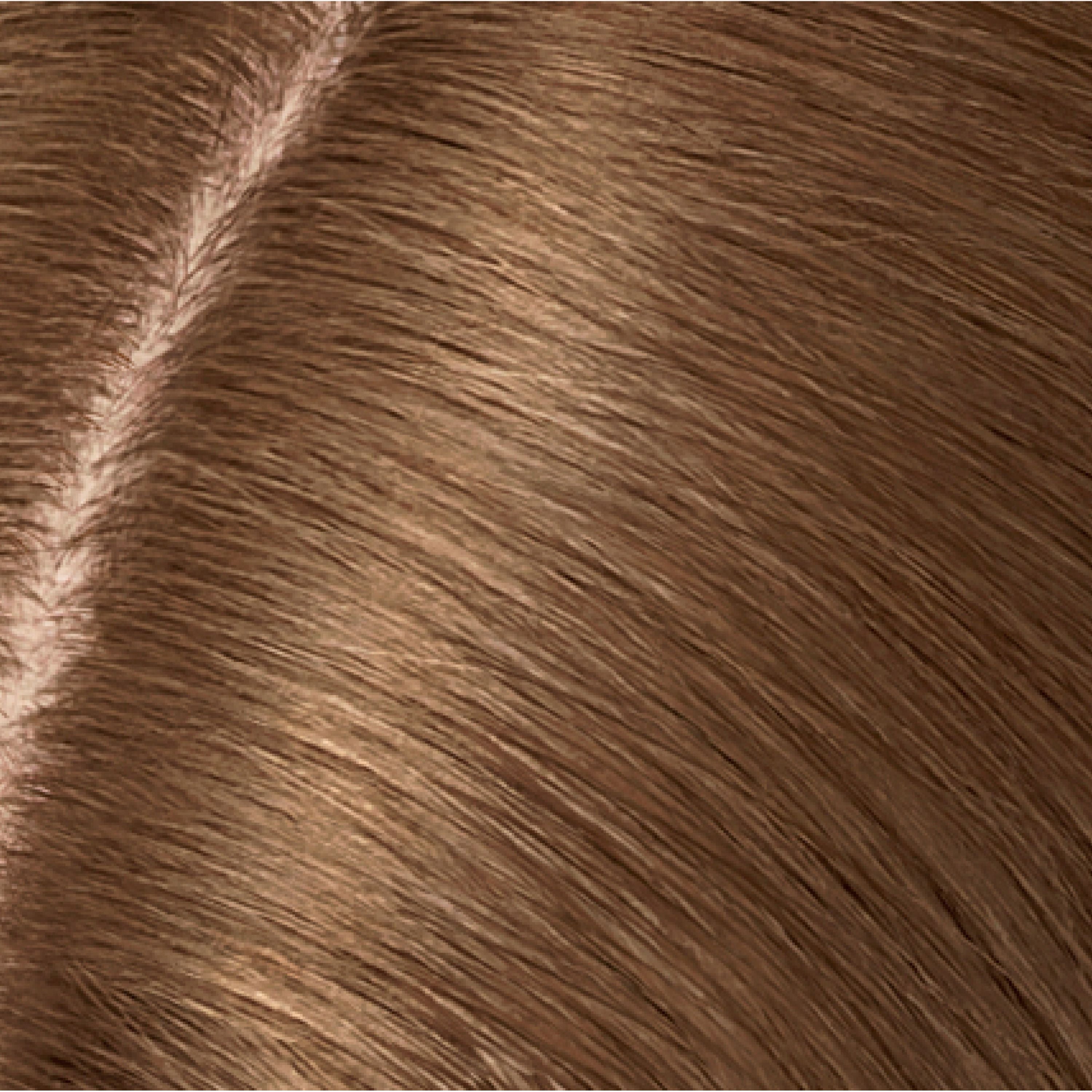 6 Light Brown