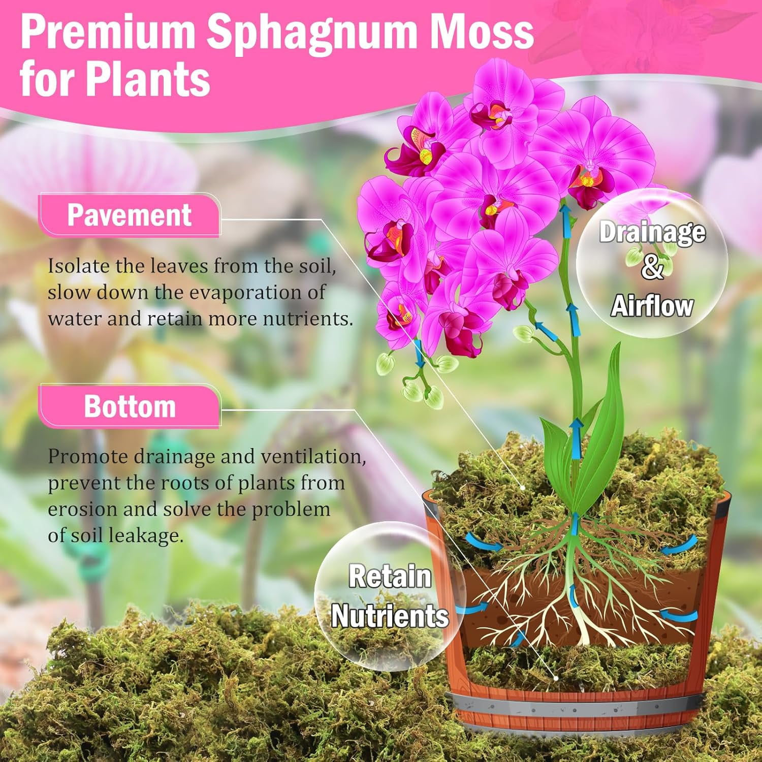 4.4LBS Premium Sphagnum Moss for Plants- 80QT Natural Dried Plant Moss for Potted Plants, Orchid Moss for Repotting, Soft Green Decorative Moss for Succulents, Reptiles & DIY Crafts