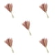 thumbnail image 1 of Matsuzay 15 piezas de hierba de pampa seca, decoración de ramo de plantas naturales esponjosas, caña seca romántica para fiesta, boda Type2 NO2, 1 of 6
