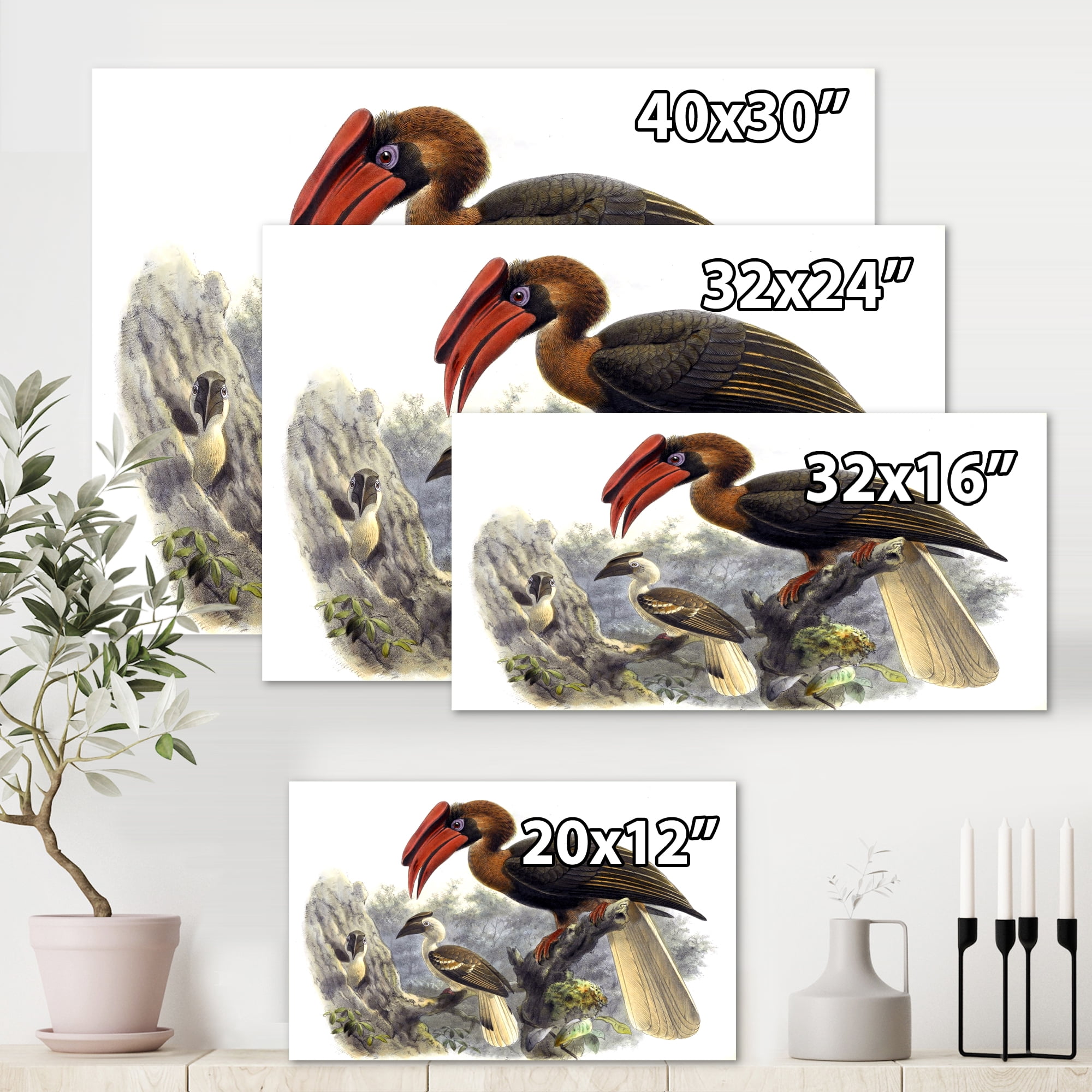 Designart ' Ancient Australian Birds XI ' Traditional Canvas Wall Art Print
