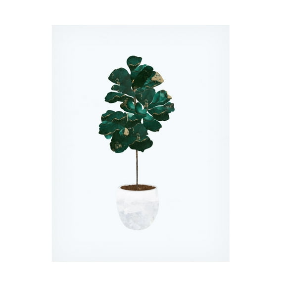 Trademark Fine Art Sarah Manovski Fiddle leaf fig Canvas Wall Art