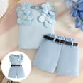 thumbnail image 2 of Infant Toddler Baby Girl Summer Clothes Bow Embroidery Short Sleeve T Shirts Top Shorts 2 Piece Summer Outfits Set Girls Summer Set 1-3 Years,2-3 Years, 2 of 9