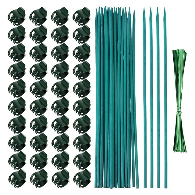 Toystoory Estacas de orquídeas verdes y transparentes para soporte Invisible, accesorios prácticos y duraderos para plantas, Clips para Jardín y Patio