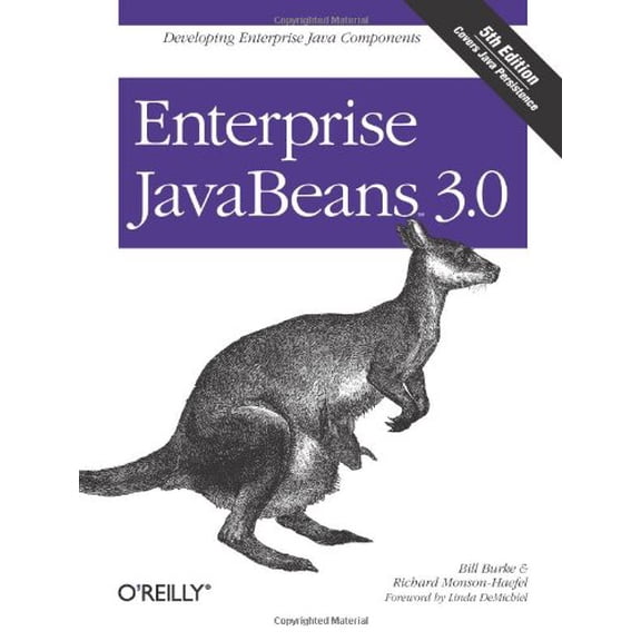 Pre-Owned Enterprise JavaBeans 3.0 (5th Edition) (Paperback) 059600978X 9780596009786