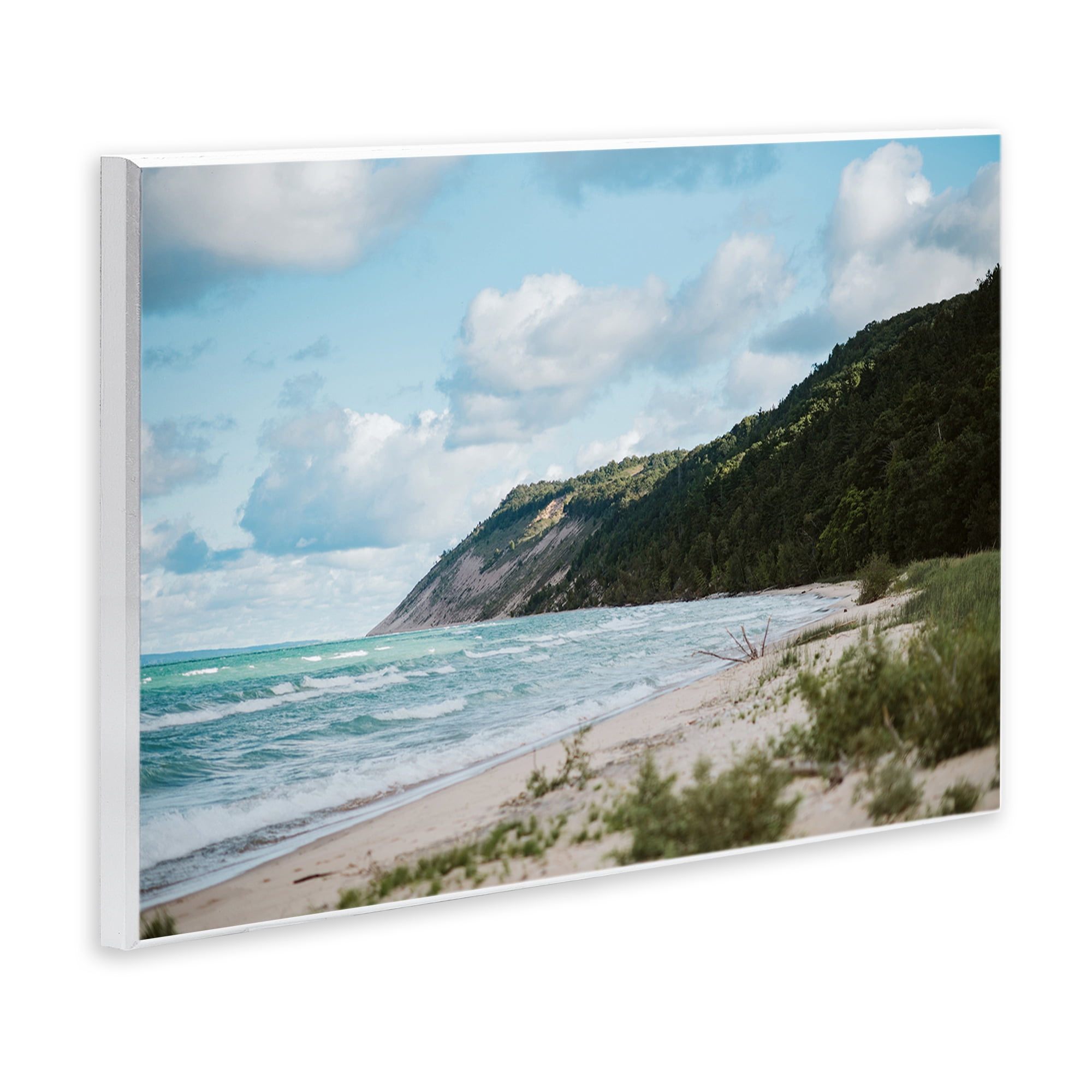 Stupell Industries Sleeping Bear Cliff Wall Plaque Art, design by Amy Carroll