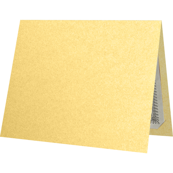 LUXPaper Certificate Holders for 8 1/2 x 11 Documents, 105 lb, Gold Metallic, 25 Pack, Holder Size 9 1/2 x 12