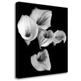 thumbnail image 2 of "Harmony" By Michael Faragher, Fine Art Giclee Print on Gallery Wrap Canvas, Ready to Hang, 2 of 2