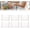6 pack, variant on Crystal Clear Freezer Storage Bins, Clear Plastic Organizer Bins with Handles, Stackable Freezer Refrigerator and Pantry Storage Containers for Frozen Food, Meat, Vegetables, Meals and Snacks (2 pack
