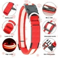 thumbnail image 2 of Syenll LED Dog Collar, USB Rechargeable Light up Dog Collar, Adjustable Safety Glowing Collar for Dogs (Red, Medium), 2 of 7