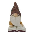 thumbnail image 2 of Figura Decorativa Prichos Harvest Gnomo 12 cm Varios Modelos 1 Pieza, 2 of 4