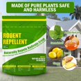 InsectX Mouse Repellent, Natural Rat Repellent Indoor, Rodent and