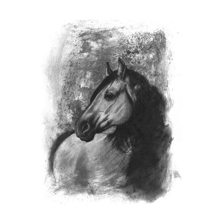 Charcoal Equestrian Portrait IV Print Wall Art By Naomi (Best Paper For Charcoal Portraits)