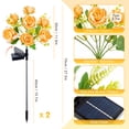 thumbnail image 3 of Qoosea Solar Lights Outdoor Waterproof: 7 Head Peony Solar Flower Lights Outdoor Garden Decor for Yard Patio Decorations, 2 Pack Champagne Warm Light, 3 of 8