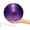 Purple, variant on 9 Inch Exercise Pilates Ball Mini Exercise Barre Ball for Yoga,Stability Exercise Training Gym Anti Burst and Slip Resistant Balls Physical Therapy Improves Balance, Core Strength