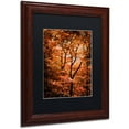 thumbnail image 2 of Trademark Fine Art "Autumn Whispers" Canvas Art by Philippe Sainte-Laudy Black Matte, Wood Frame, 2 of 4