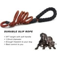 thumbnail image 4 of EGNMCR Pet Leashes 1.5mx12mm Rope Slip Collar Dog Lead- Handle Pet Training Leash Holder Rope, 4 of 4