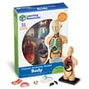 Learning Resources® Human Body Anatomy Model, 31 Pieces