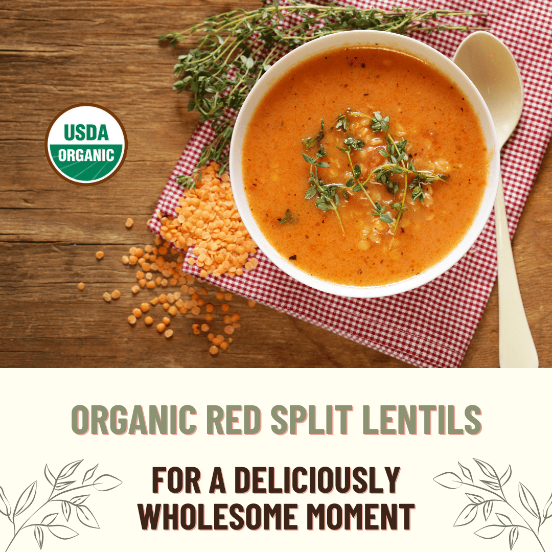 Organic Red Split Lentils, 1 lb. (6 pack) - Mountain High Organics
