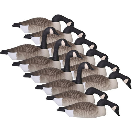 Hard Core Brands Canada Goose Touchdown Shell Decoys, Economy Series, Multiple Pack Sizes (Best Floating Goose Decoys)