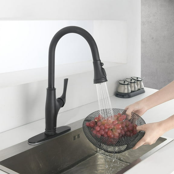 NEWATER Pull Down Kitchen Faucet,Matte Black