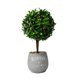 thumbnail image 1 of Maceta Redonda De Imitación Vegetal Para El Hogar, Mesa De Interior, Escritorio, Decoración De Salón, 1 of 5