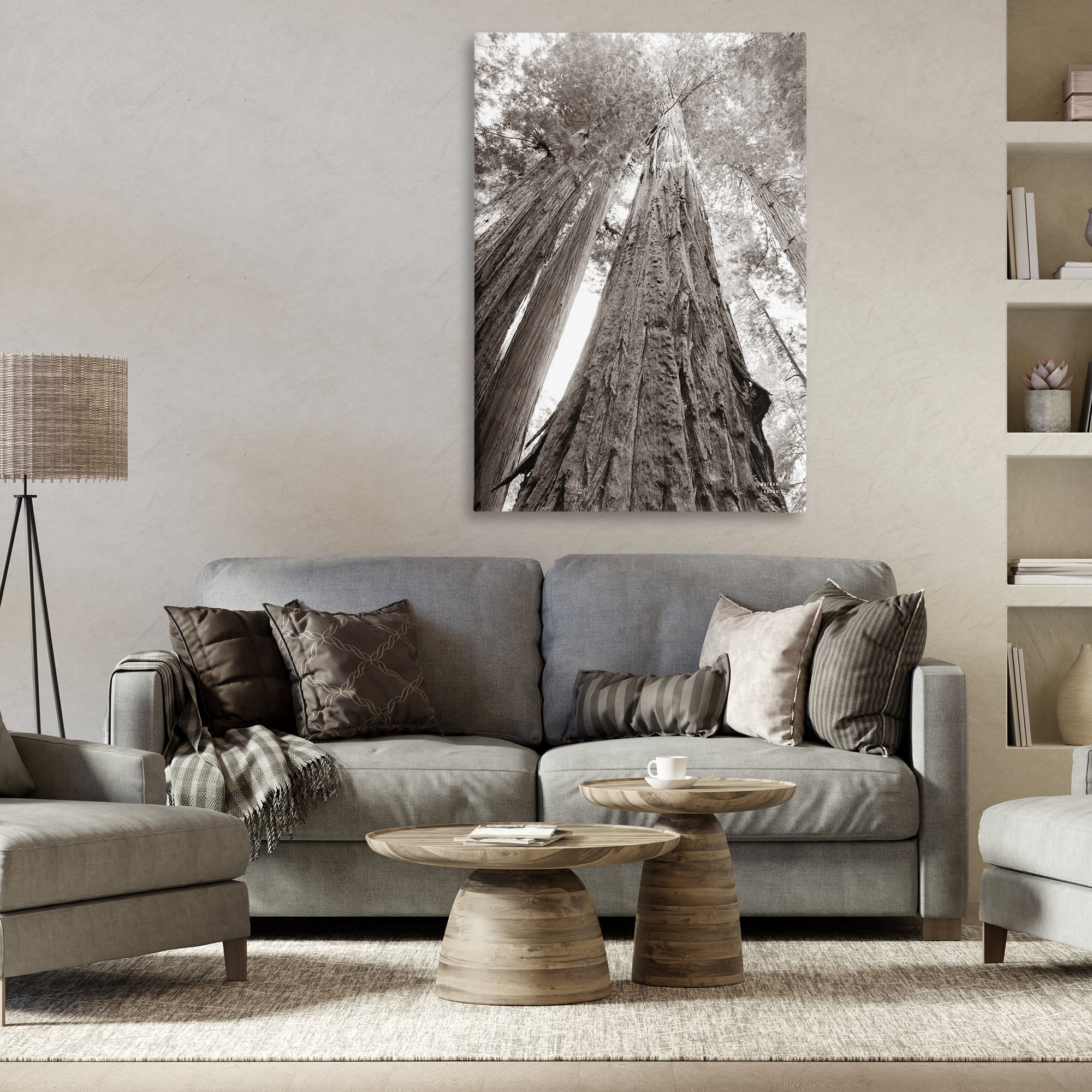 Stupell Industries Ancient Redwood Forest Landscape & Nature Photography Wrapped Canvas Art Print Wall Art, 30 x 45